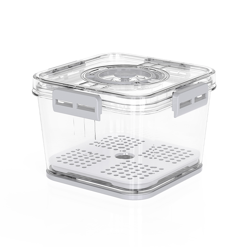 Orgwiser pequeno plástico visível